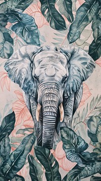 Wallpaper Elephant backgrounds elephant wildlife.