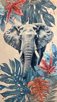 Wallpaper Elephant elephant wildlife outdoors.
