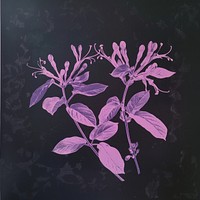 Silkscreen of a Honeysuckle purple nature flower.