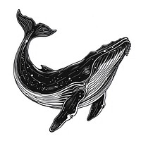 Whale animal mammal black.