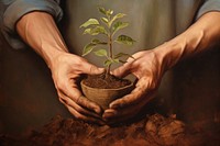 Close up on pale hand holding a soil with a growing plant gardening planting nature.