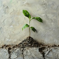 Close up on pale soil with growing plant leaf beginnings houseplant.