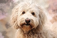 Close up on pale komondor dog terrier mammal animal.