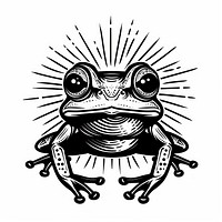 Frog frog amphibian drawing.