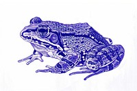 Vintage drawing Frog frog amphibian wildlife.
