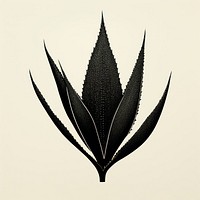 Silkscreen of a aloe vera plant black leaf.