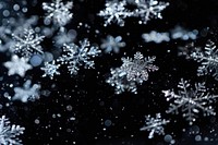 Snowflakes backgrounds nature black.