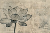 Lotus flower ephemera border backgrounds newspaper drawing.