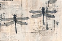 Dragon flies ephemera border backgrounds dragonfly drawing.