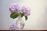 Close up on pale puple hydrangea in vase flower plant petal.