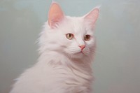 Close up on pale American Short Hair cat animal mammal pet.