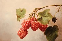 Close up on pale a berry painting blackberry fruit.