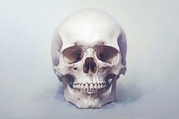 Close up on pale Glass Skull anatomy spooky horror.