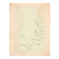 Botanical ripped paper backgrounds text white background.