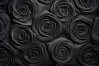 Rose black backgrounds inflorescence.