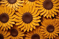 Sunflower backgrounds pattern petal.