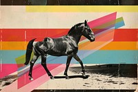 Minimal retro collage of a black and white photo horse art painting animal.