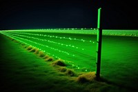 Photo of a christmas lights green landscape outdoors.