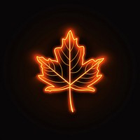 Maple leaf icon lighting plant night.