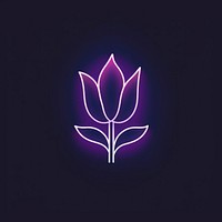 Tulip icon purple nature light.
