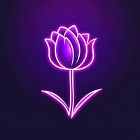Tulip icon purple neon nature.