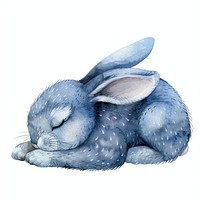 Rabbit Sleeping rabbit illustrated drawing.
