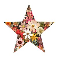 Flower Collage Star shaped symbol cross art.