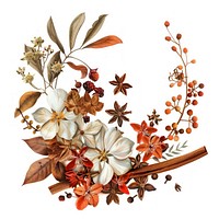Flower Collage cinnamon spices pattern graphics dessert.