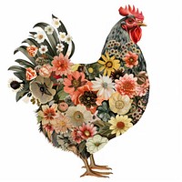 Flower Collage Chicken chicken poultry rooster.