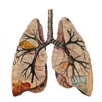 Lung shape collage cutouts accessories accessory weaponry.