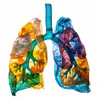 Lung made from polyethylene plastic clothing apparel.