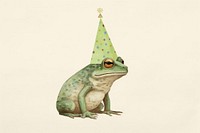 Frog wear birthday hat amphibian clothing wildlife.