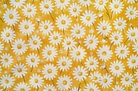 Daisy vintage pattern asteraceae blossom flower.