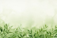 Green tea leaf aesthetic background vegetation outdoors weather.