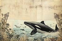 Whales border painting animal mammal.