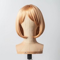 Photo of wig person female human.