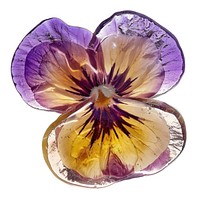 Flower resin viola shaped accessories accessory gemstone.