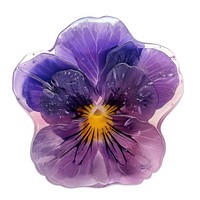 Flower resin viola shaped blossom purple plant.
