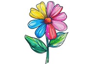 Colorful marker of flower illustrated asteraceae graphics.
