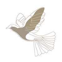 Minimalist symmetrical dove freedom animal flying pigeon.