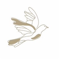 Minimalist symmetrical dove freedom illustrated drawing animal.