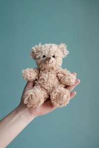 Hand holding teddy bear toy.