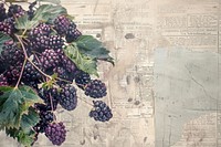 Blackberries ephemera border backgrounds blackberry fruit.
