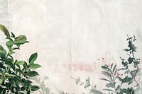 Pastel watercolor ephemera border herbs backgrounds plant.