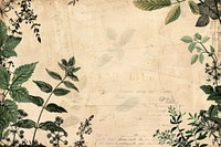Brown paper ephemera border herbs backgrounds plant.
