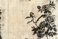 Black ink roses ephemera border backgrounds pattern drawing.