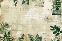 Plastic sugery ephemera border backgrounds collage plant.