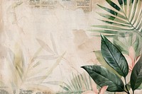 Tropical beach ephemera border backgrounds plant paper.