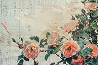 English rose ephemera border backgrounds painting flower.