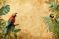 Parrots jungle ephemera border backgrounds animal plant.